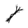 seqclust/clustering/clusters/dir_CL0025/CL25_tmb.png
