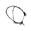 seqclust/clustering/clusters/dir_CL0033/CL33_tmb.png
