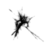 seqclust/clustering/clusters/dir_CL0035/CL35_tmb.png