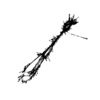 seqclust/clustering/clusters/dir_CL0038/CL38_tmb.png