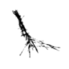 seqclust/clustering/clusters/dir_CL0040/CL40_tmb.png