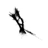 seqclust/clustering/clusters/dir_CL0043/CL43_tmb.png