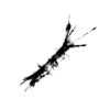 seqclust/clustering/clusters/dir_CL0044/CL44_tmb.png