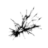 seqclust/clustering/clusters/dir_CL0050/CL50_tmb.png