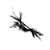 seqclust/clustering/clusters/dir_CL0053/CL53_tmb.png