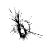 seqclust/clustering/clusters/dir_CL0054/CL54_tmb.png