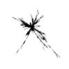 seqclust/clustering/clusters/dir_CL0058/CL58_tmb.png