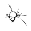 seqclust/clustering/clusters/dir_CL0062/CL62_tmb.png
