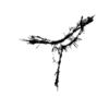 seqclust/clustering/clusters/dir_CL0067/CL67_tmb.png