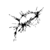 seqclust/clustering/clusters/dir_CL0073/CL73_tmb.png
