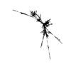 seqclust/clustering/clusters/dir_CL0075/CL75_tmb.png