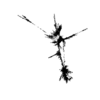 seqclust/clustering/clusters/dir_CL0081/CL81_tmb.png