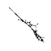 seqclust/clustering/clusters/dir_CL0086/CL86_tmb.png