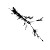 seqclust/clustering/clusters/dir_CL0087/CL87_tmb.png