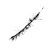 seqclust/clustering/clusters/dir_CL0088/CL88_tmb.png