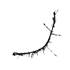 seqclust/clustering/clusters/dir_CL0092/CL92_tmb.png