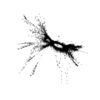 seqclust/clustering/clusters/dir_CL0093/CL93_tmb.png