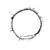 seqclust/clustering/clusters/dir_CL0095/CL95_tmb.png