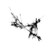 seqclust/clustering/clusters/dir_CL0096/CL96_tmb.png