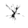 seqclust/clustering/clusters/dir_CL0099/CL99_tmb.png
