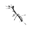 seqclust/clustering/clusters/dir_CL0100/CL100_tmb.png