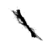 seqclust/clustering/clusters/dir_CL0101/CL101_tmb.png