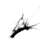 seqclust/clustering/clusters/dir_CL0102/CL102_tmb.png