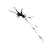 seqclust/clustering/clusters/dir_CL0104/CL104_tmb.png