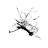 seqclust/clustering/clusters/dir_CL0105/CL105_tmb.png