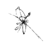 seqclust/clustering/clusters/dir_CL0107/CL107_tmb.png