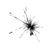 seqclust/clustering/clusters/dir_CL0110/CL110_tmb.png