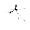 seqclust/clustering/clusters/dir_CL0112/CL112_tmb.png