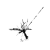 seqclust/clustering/clusters/dir_CL0113/CL113_tmb.png