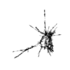 seqclust/clustering/clusters/dir_CL0114/CL114_tmb.png