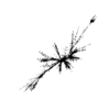 seqclust/clustering/clusters/dir_CL0117/CL117_tmb.png
