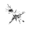 seqclust/clustering/clusters/dir_CL0119/CL119_tmb.png