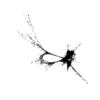 seqclust/clustering/clusters/dir_CL0120/CL120_tmb.png