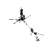 seqclust/clustering/clusters/dir_CL0121/CL121_tmb.png