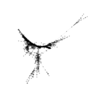 seqclust/clustering/clusters/dir_CL0125/CL125_tmb.png