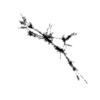 seqclust/clustering/clusters/dir_CL0130/CL130_tmb.png