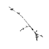 seqclust/clustering/clusters/dir_CL0136/CL136_tmb.png