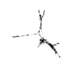 seqclust/clustering/clusters/dir_CL0138/CL138_tmb.png
