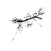 seqclust/clustering/clusters/dir_CL0139/CL139_tmb.png