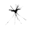 seqclust/clustering/clusters/dir_CL0142/CL142_tmb.png