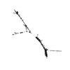 seqclust/clustering/clusters/dir_CL0143/CL143_tmb.png