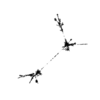 seqclust/clustering/clusters/dir_CL0147/CL147_tmb.png