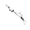 seqclust/clustering/clusters/dir_CL0149/CL149_tmb.png