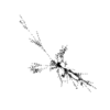 seqclust/clustering/clusters/dir_CL0150/CL150_tmb.png