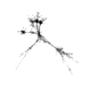 seqclust/clustering/clusters/dir_CL0158/CL158_tmb.png