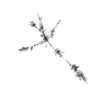 seqclust/clustering/clusters/dir_CL0159/CL159_tmb.png